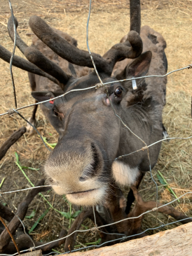 2019-07-10 11 11 34.JPG